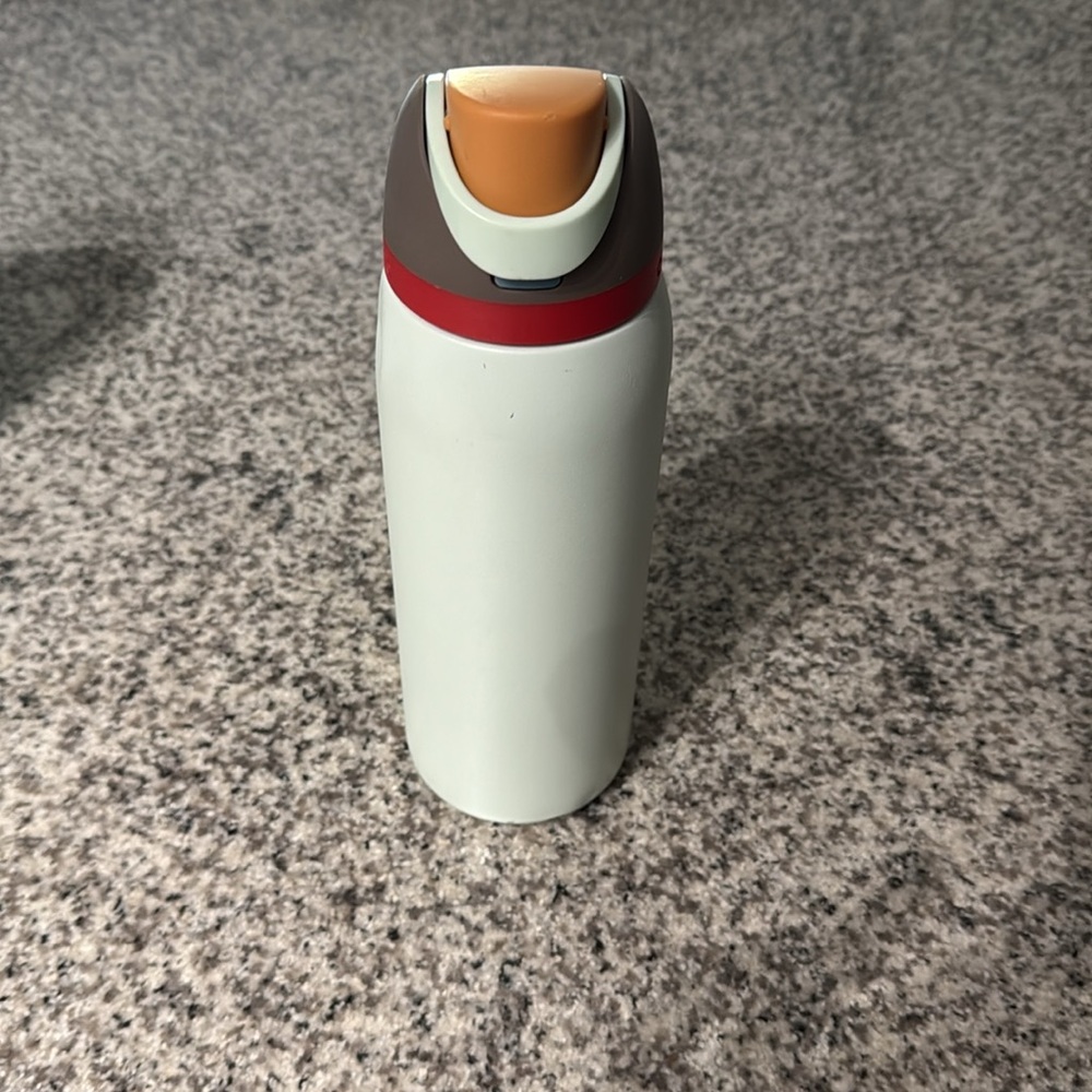 40oz Owala in Boneyard color